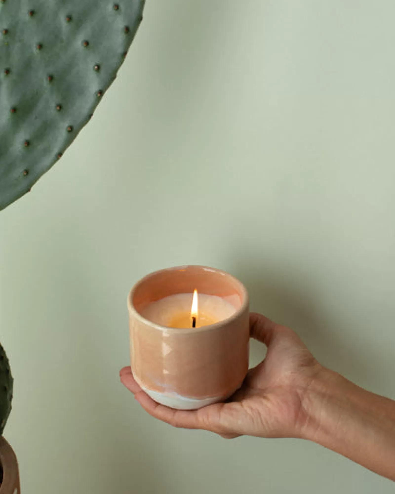 Motel a Miio Coimbra - Scented Candle “Mediterranean Breeze” apricot Discount